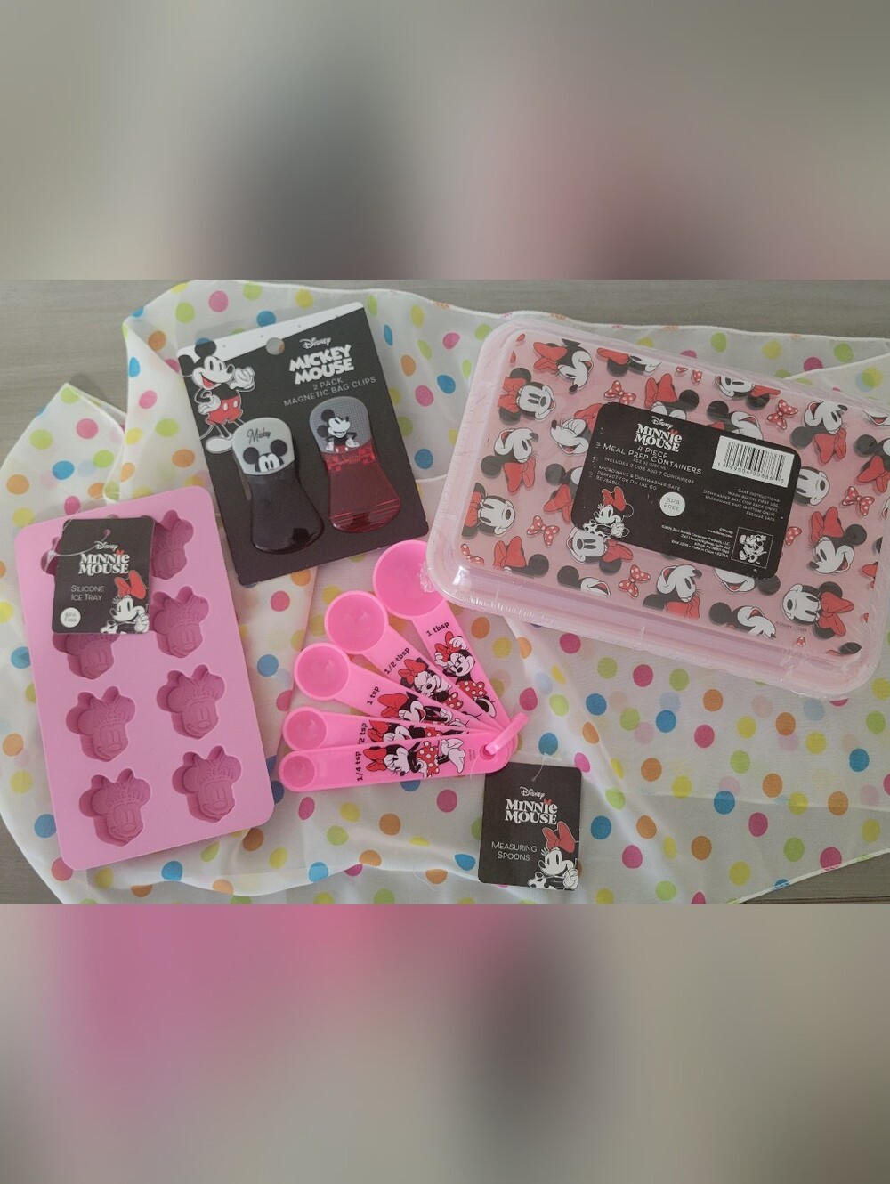 Disney 5 Pc. Set Minnie And Mickey Mouse NWT